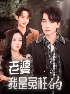 老婆我是冤枉的第01-31集(大结局)