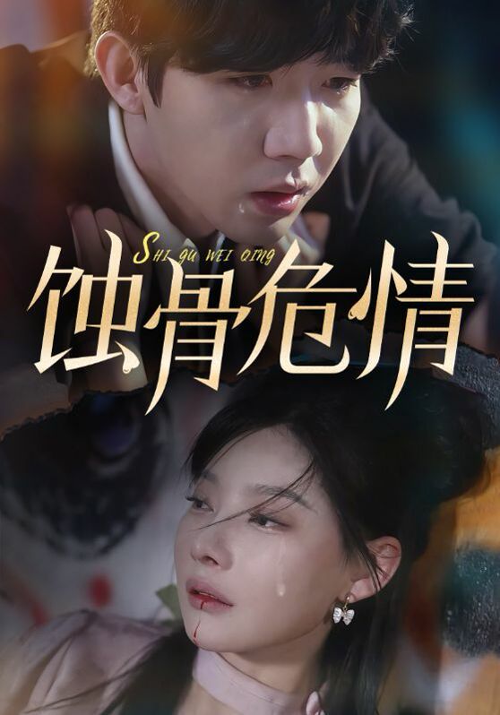 蚀骨危情第1-20集