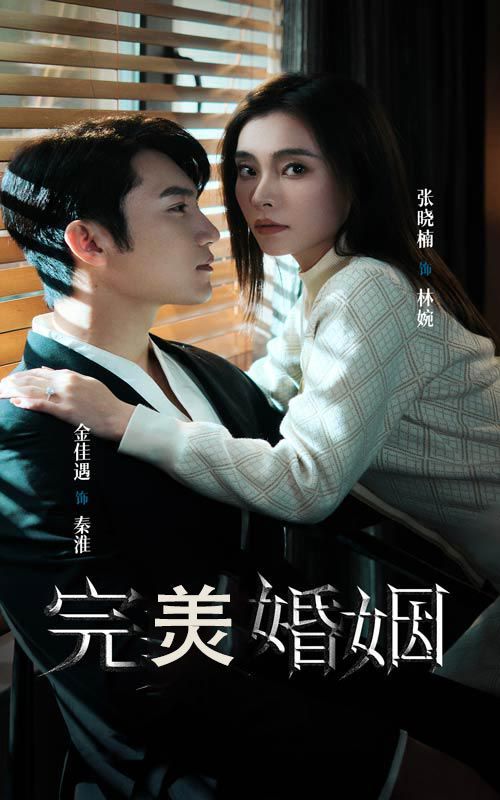 完美婚姻第21-40集