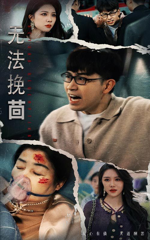 无法挽回第21-40集