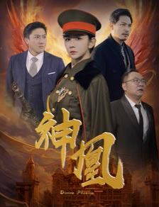 神凰第1-20集