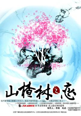 山楂树之恋2011第22集