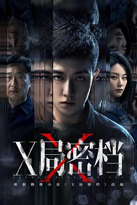 X局密档第10集
