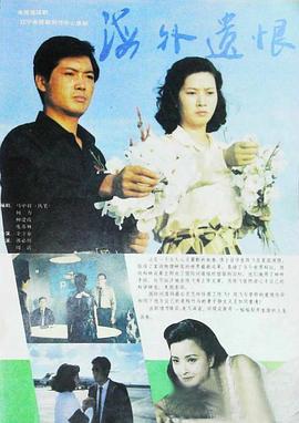 海外遗恨第03集