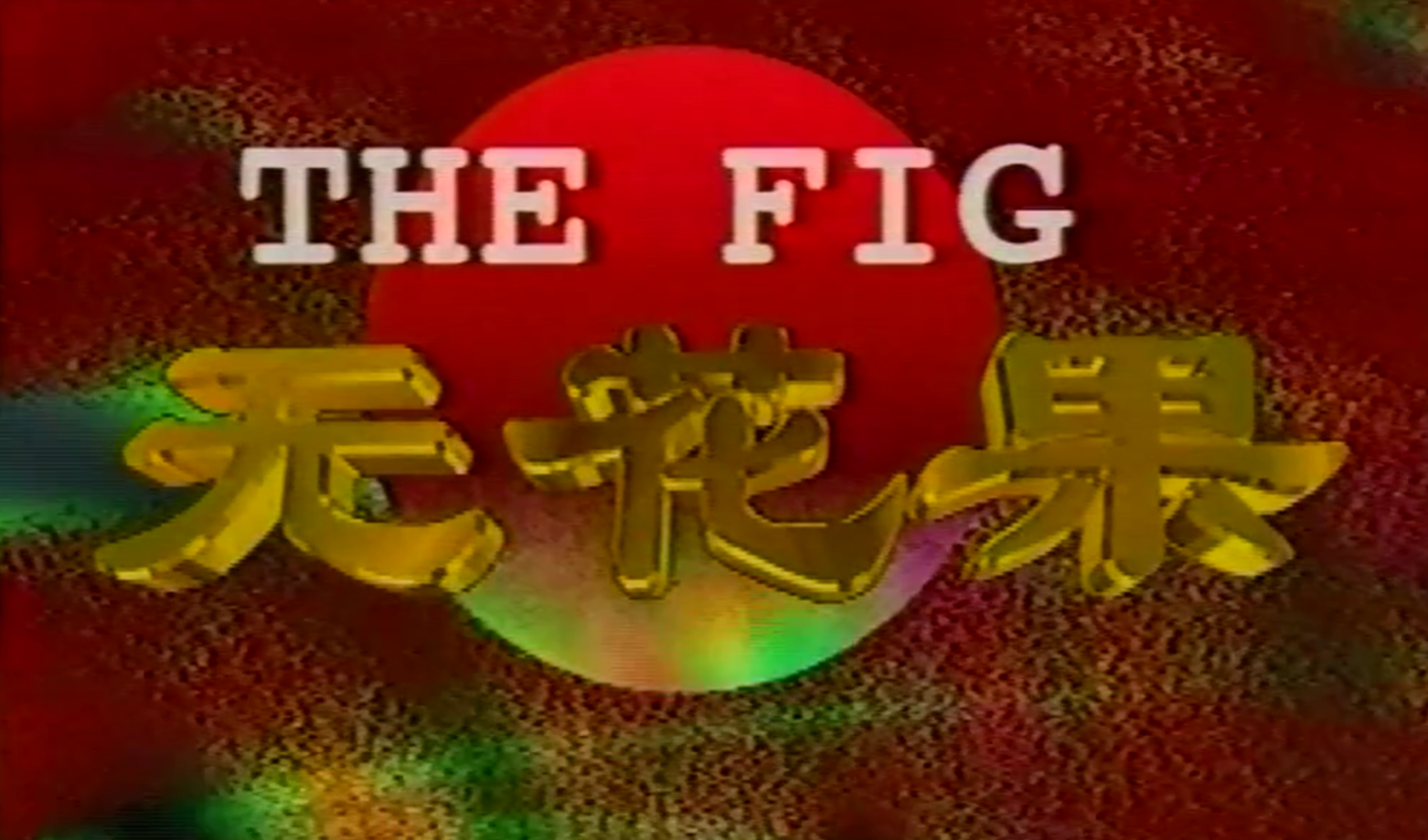 无花果1996第09集