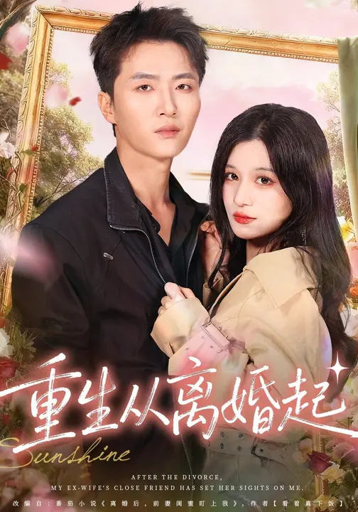 重生从离婚起(全集)