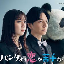 比熊猫更不擅长恋爱的我们