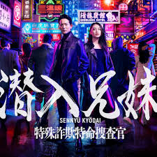 潜入兄妹 特殊诈欺特命搜查官(全集)