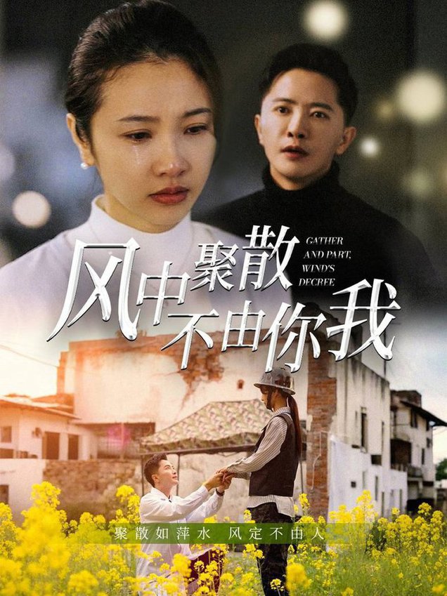 风中聚散不由你我第21-41集(大结局)